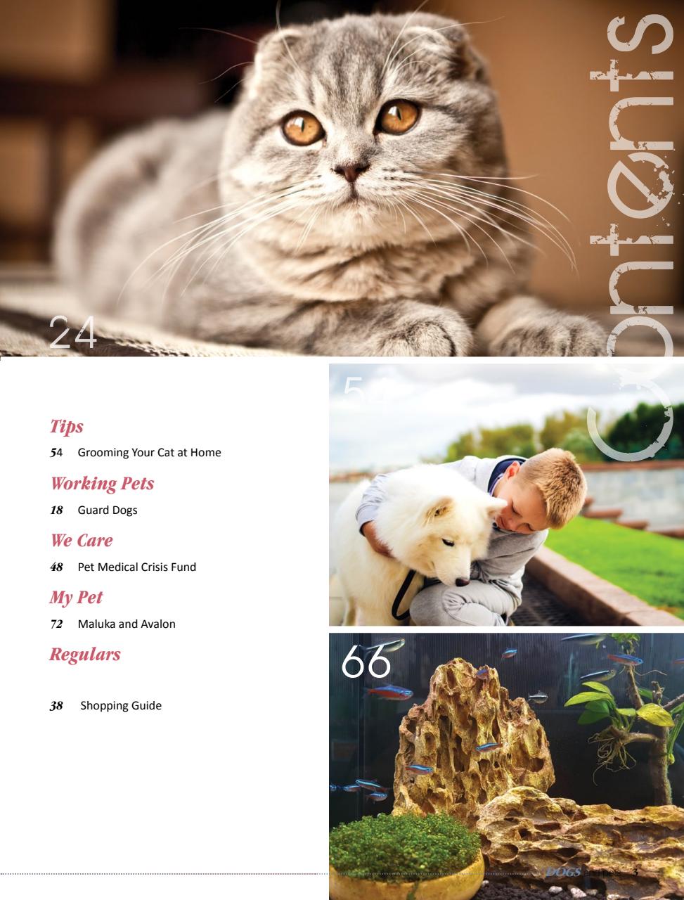 Dogs and Pets Preview Pages