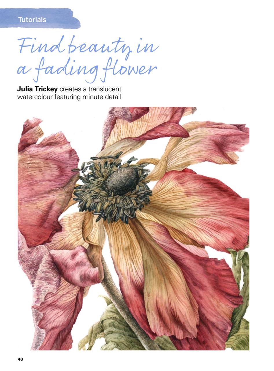 Creative Bookazine Preview Pages