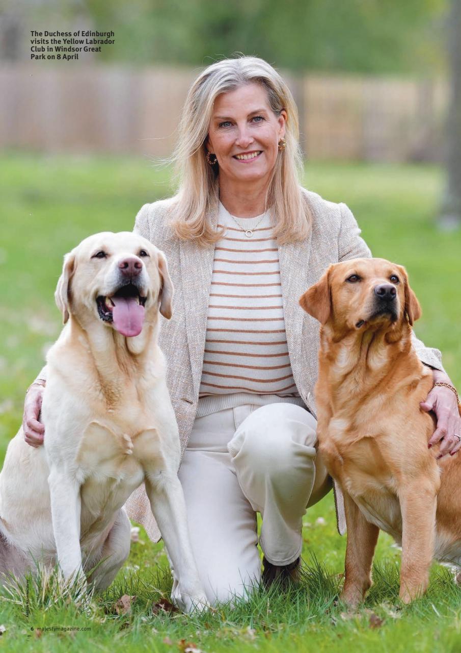 Majesty Magazine Preview Pages