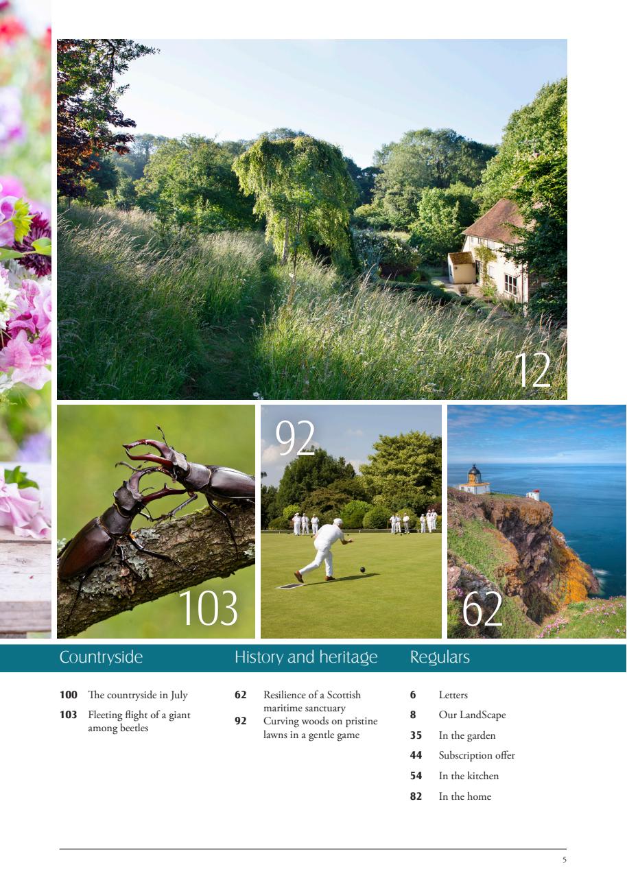 LandScape Preview Pages