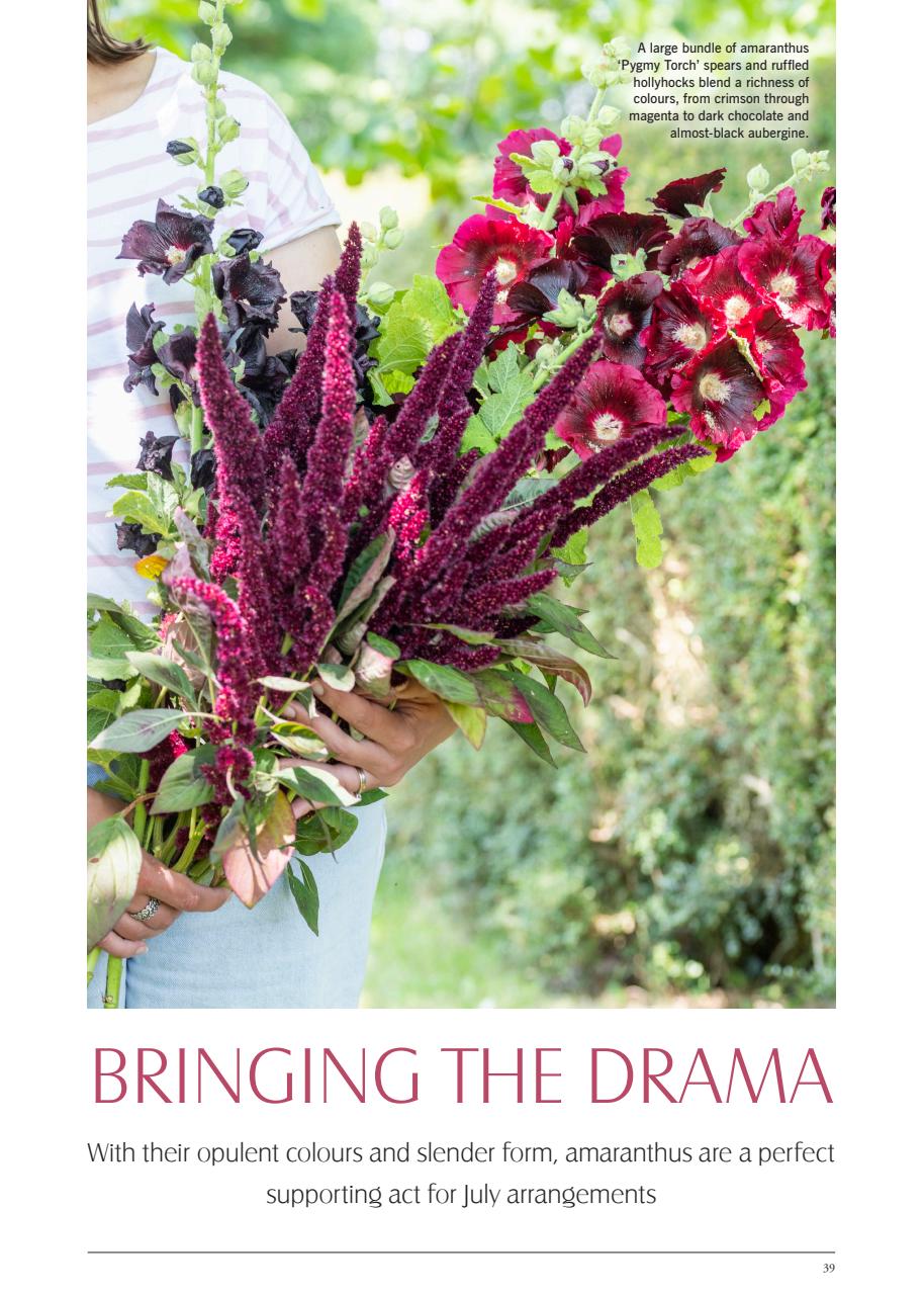 LandScape Preview Pages