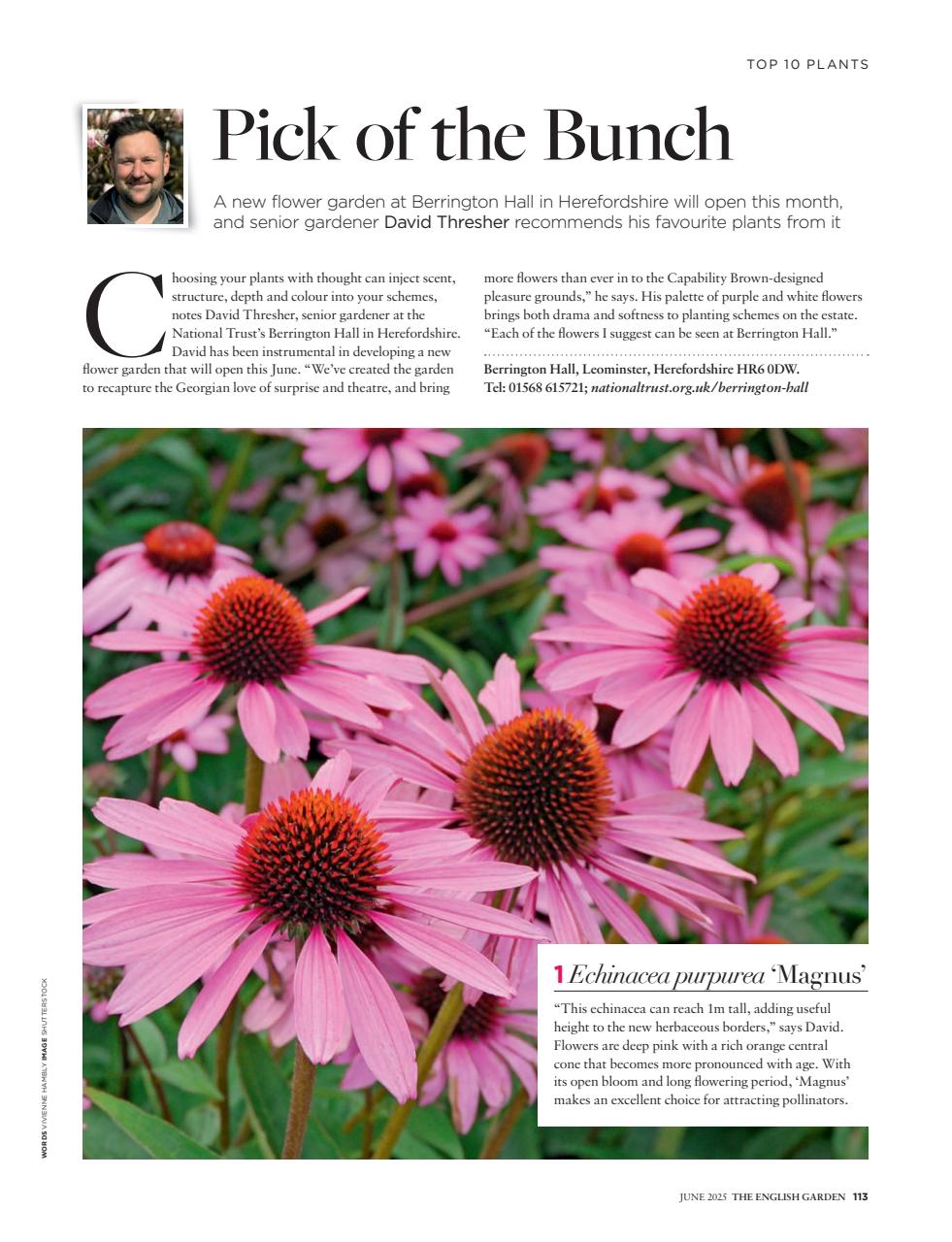 The English Garden Preview Pages