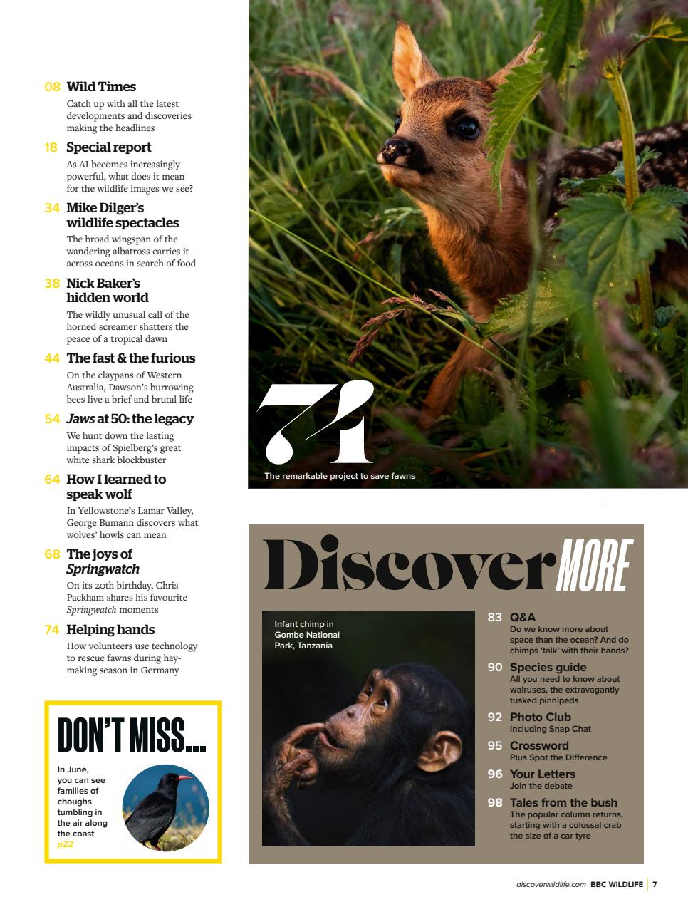 BBC Wildlife Magazine Preview Pages