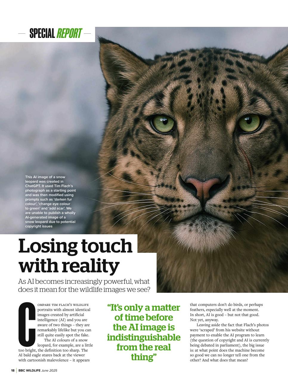 BBC Wildlife Magazine Preview Pages