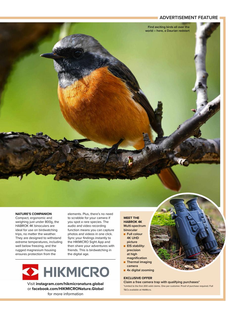 BBC Wildlife Magazine Preview Pages