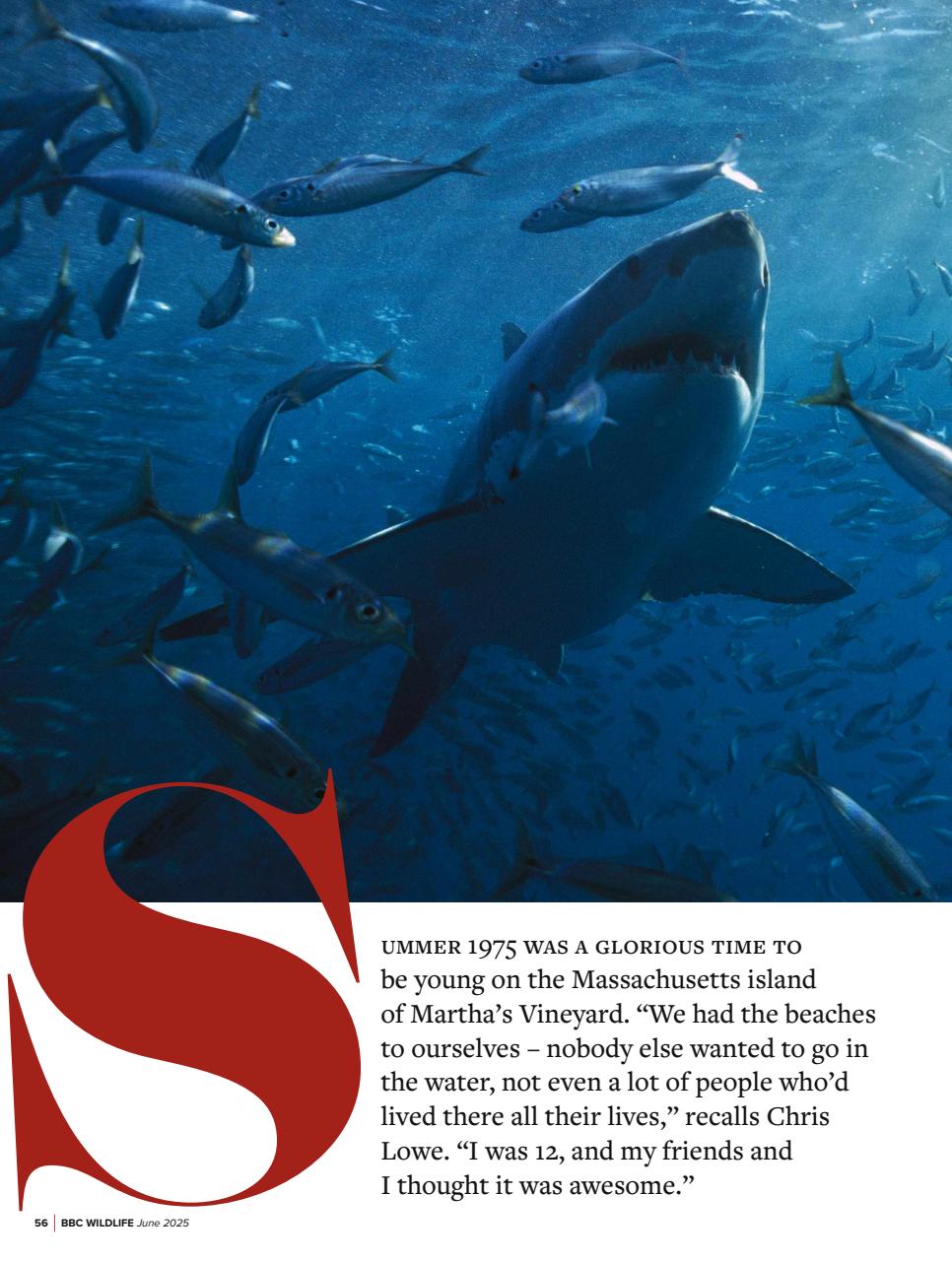 BBC Wildlife Magazine Preview Pages