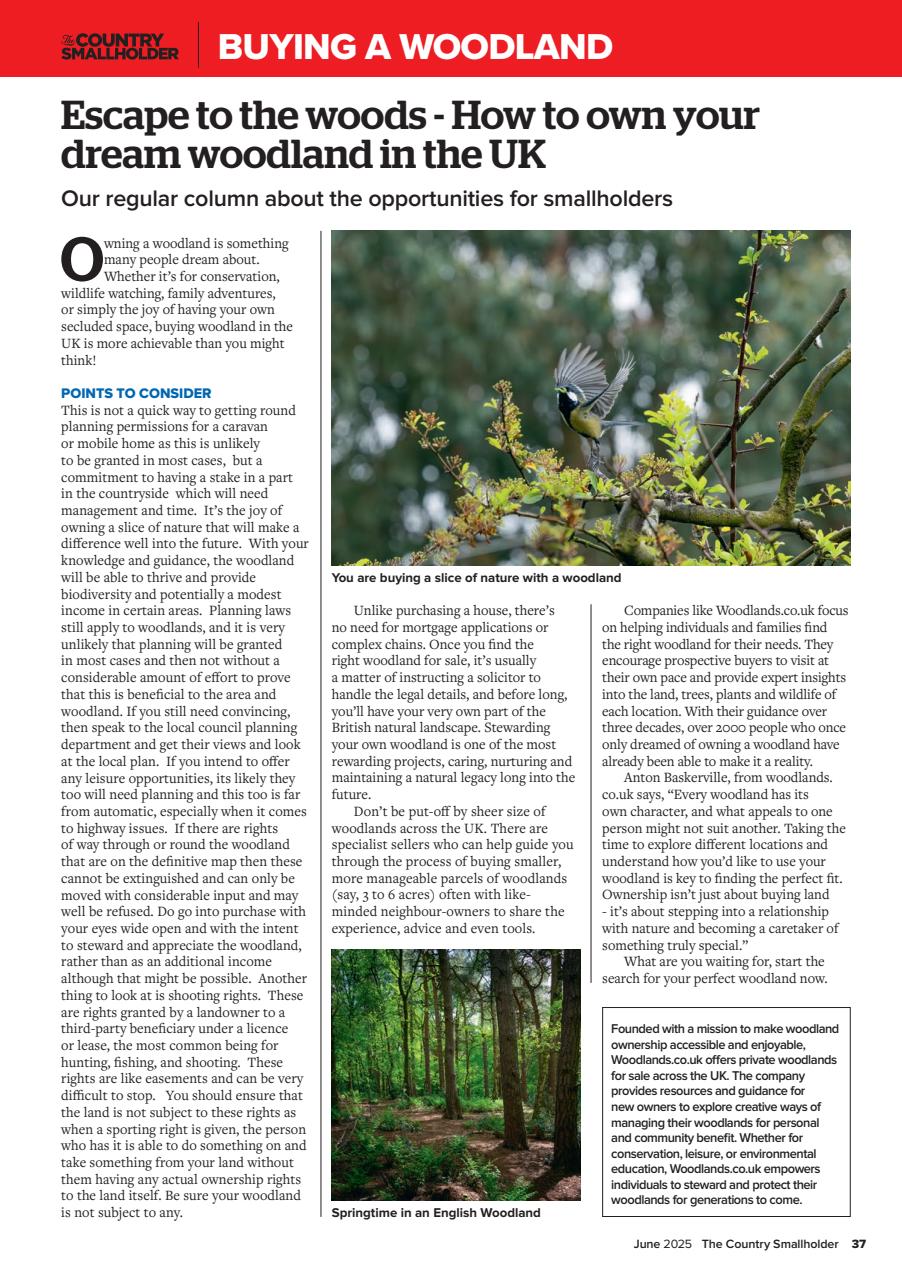 The Country Smallholder Preview Pages