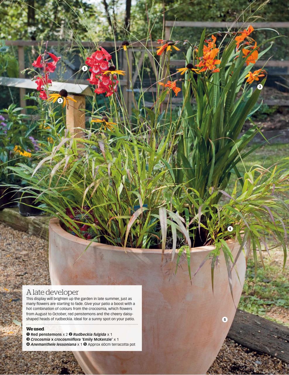 BBC Gardeners’ World Magazine Preview Pages
