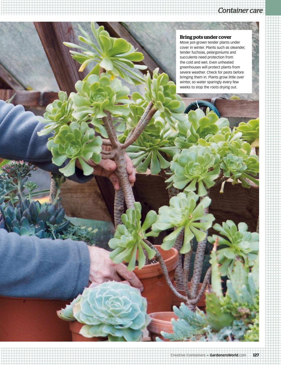 BBC Gardeners’ World Magazine Preview Pages