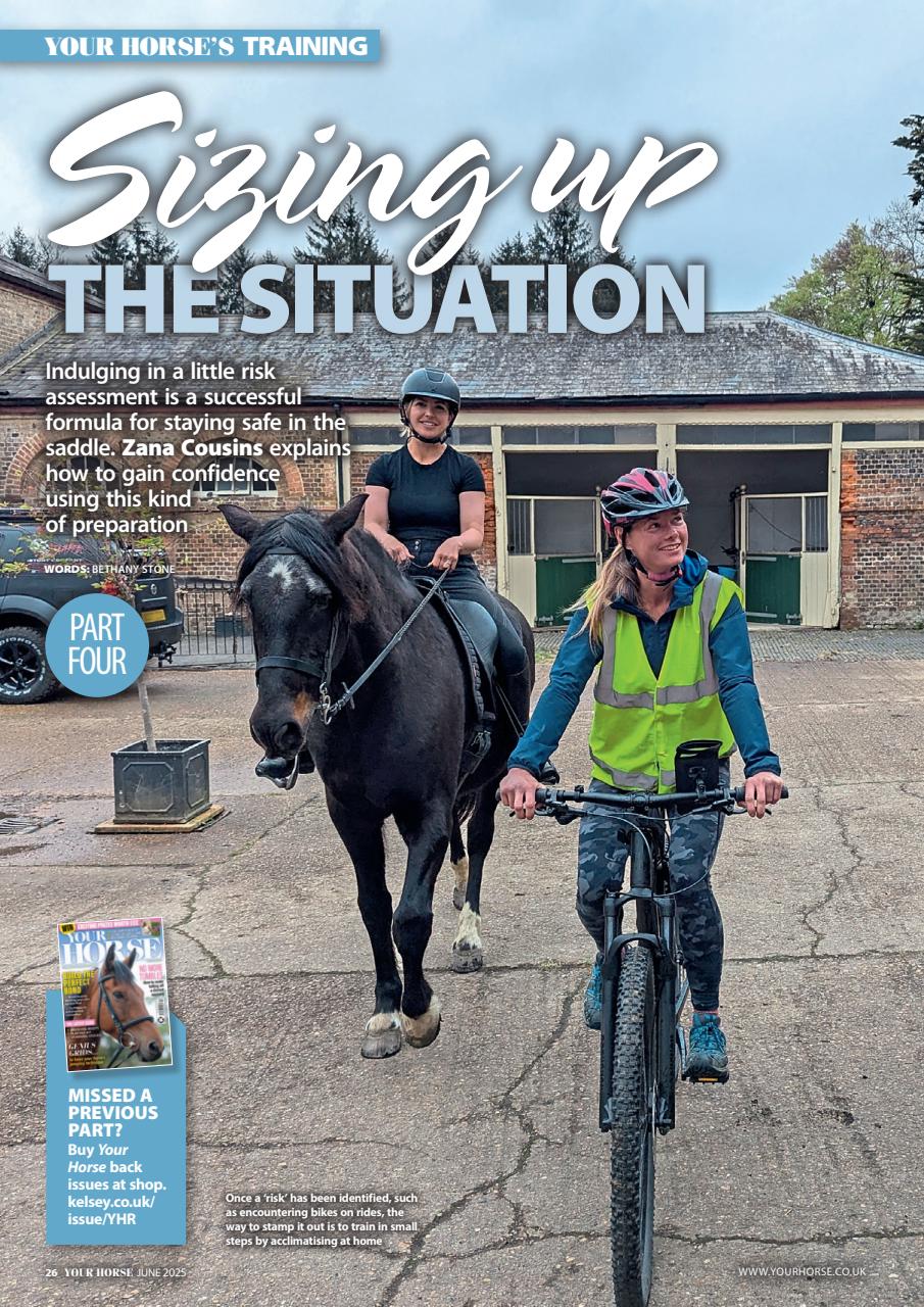 Your Horse Preview Pages