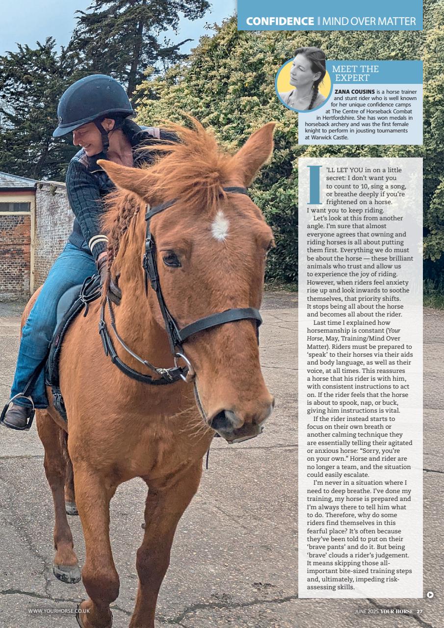 Your Horse Preview Pages