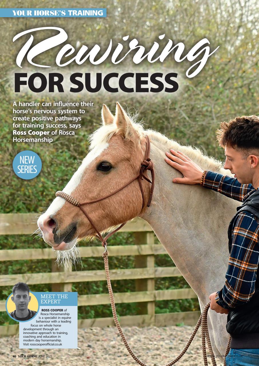 Your Horse Preview Pages