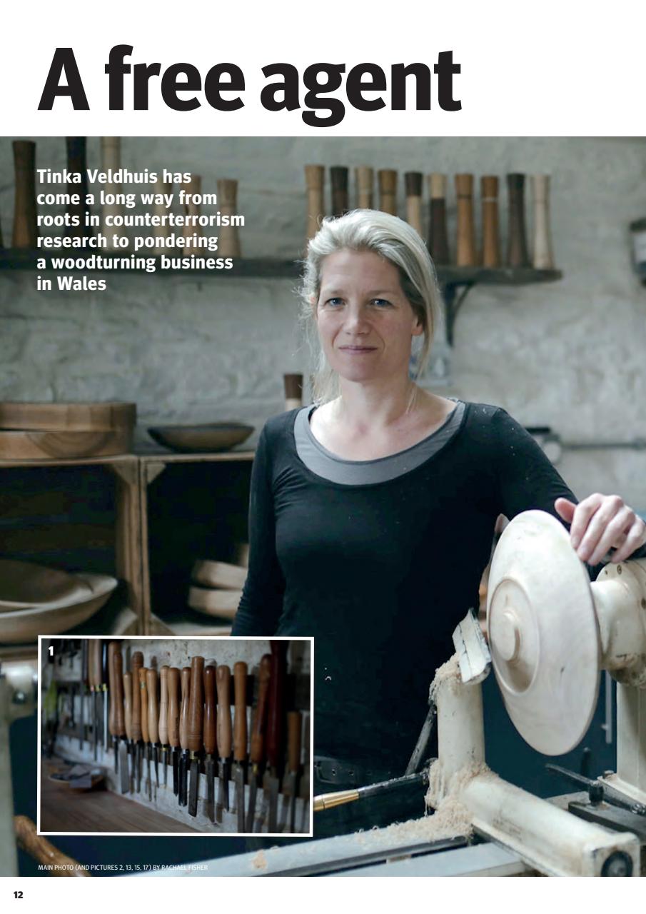 Woodturning Preview Pages