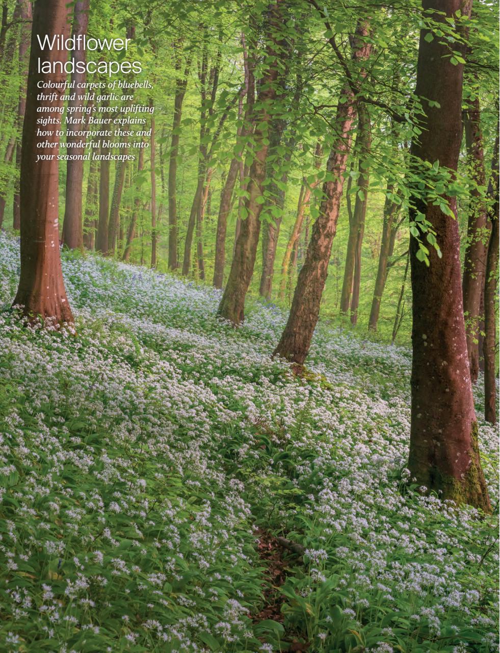 Outdoor Photography Preview Pages