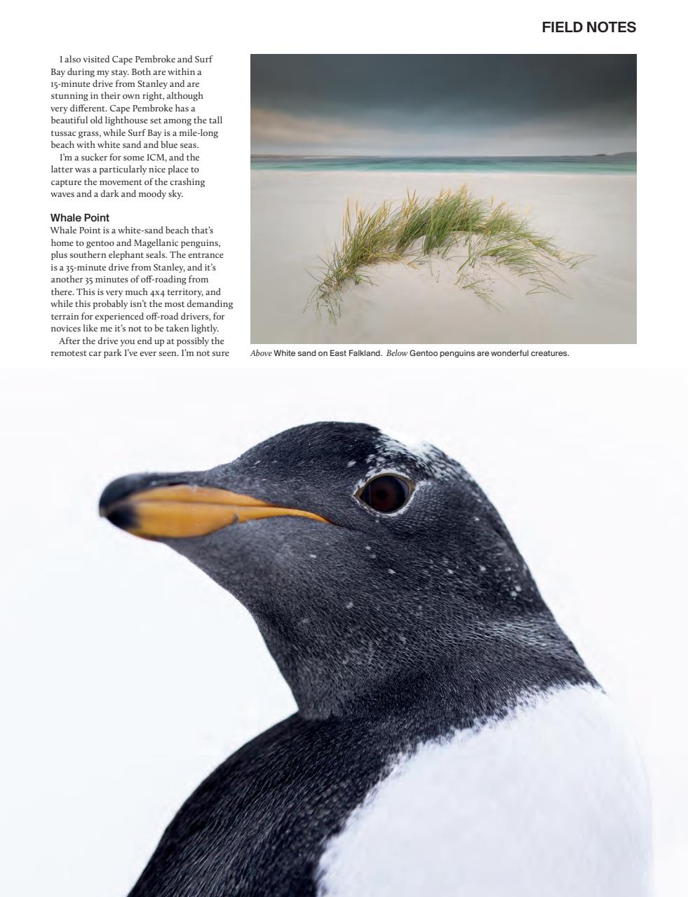 Outdoor Photography Preview Pages