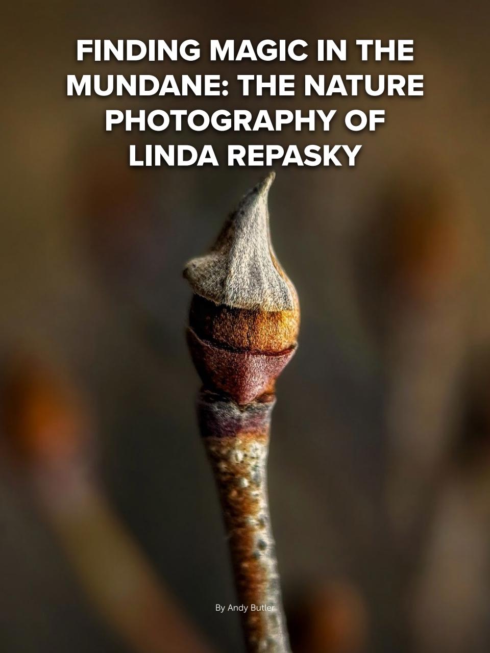 Mobiography Preview Pages