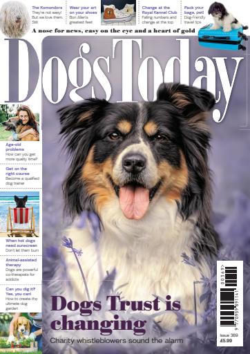 Dogs Today Magazine issue 