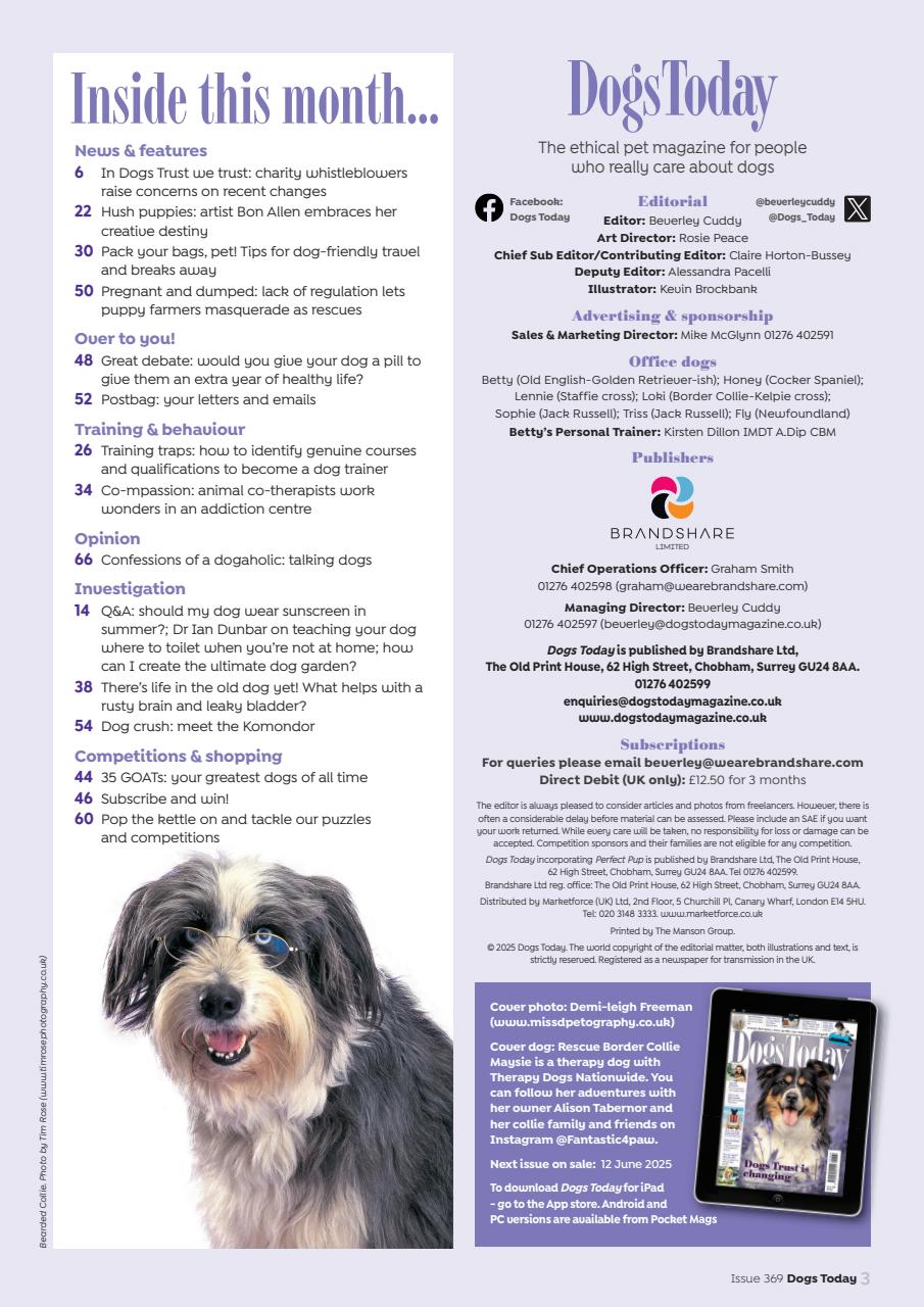 Dogs Today Magazine Preview Pages