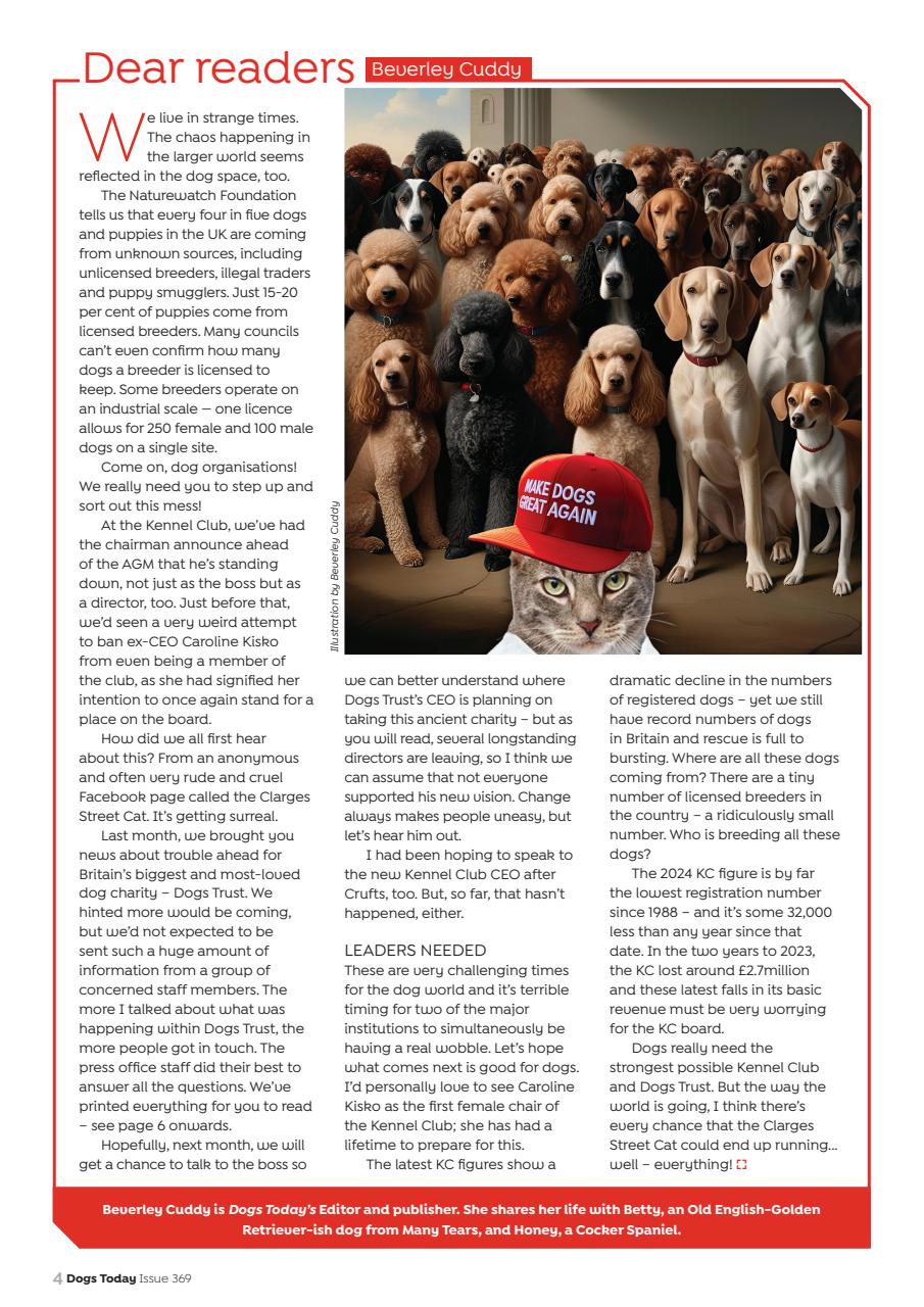 Dogs Today Magazine Preview Pages