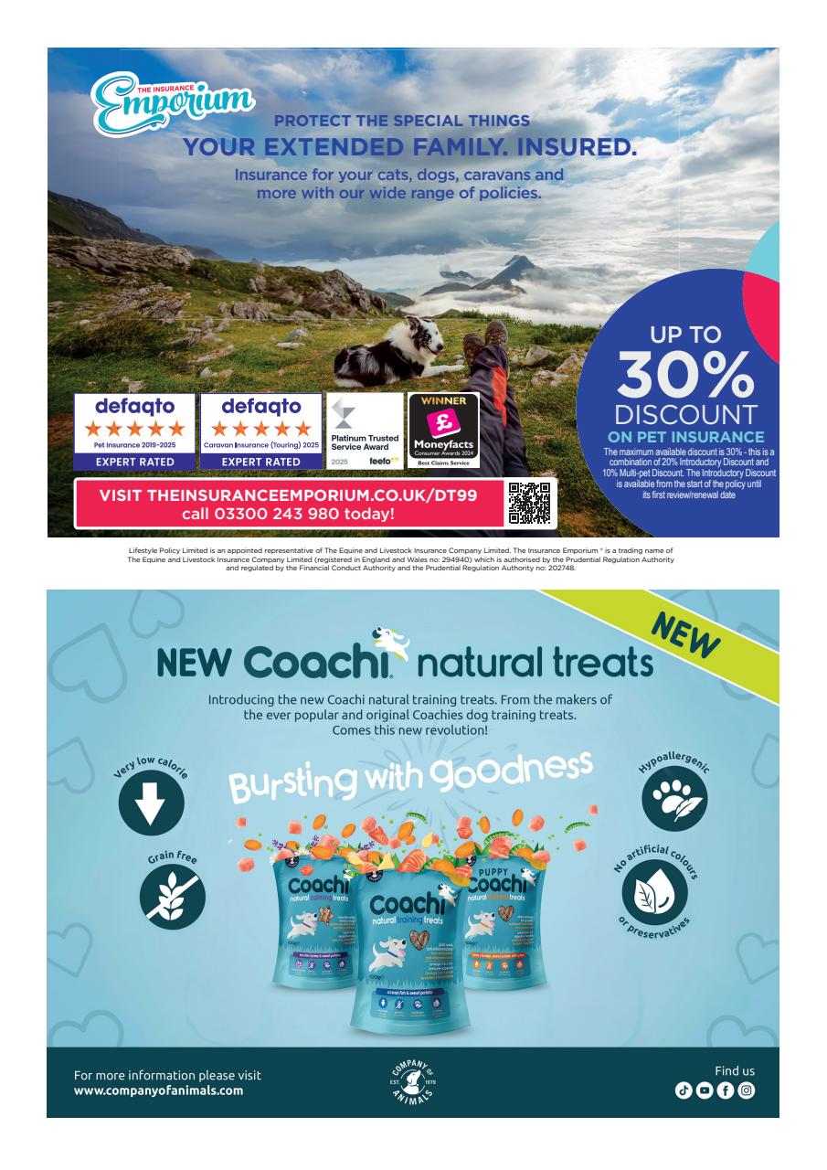 Dogs Today Magazine Preview Pages