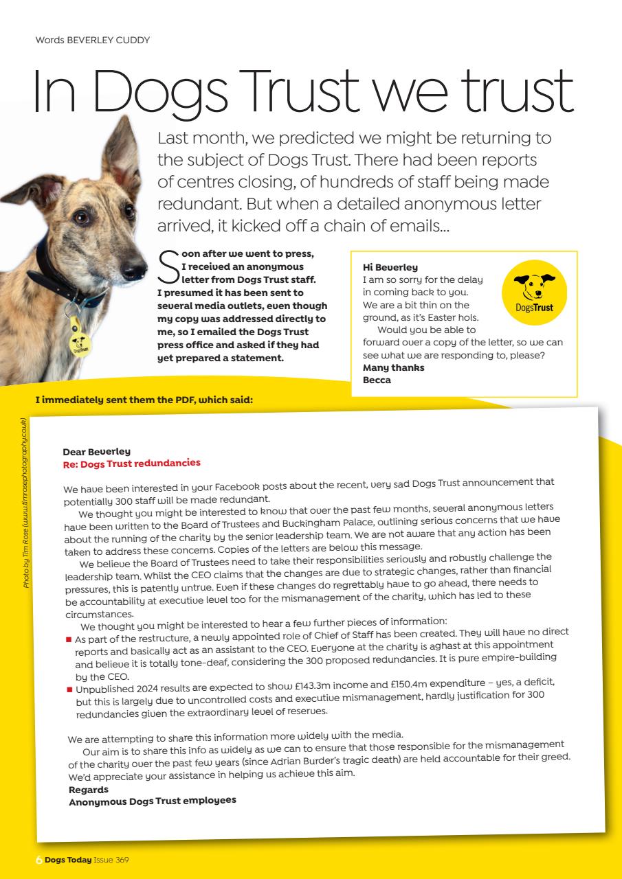 Dogs Today Magazine Preview Pages