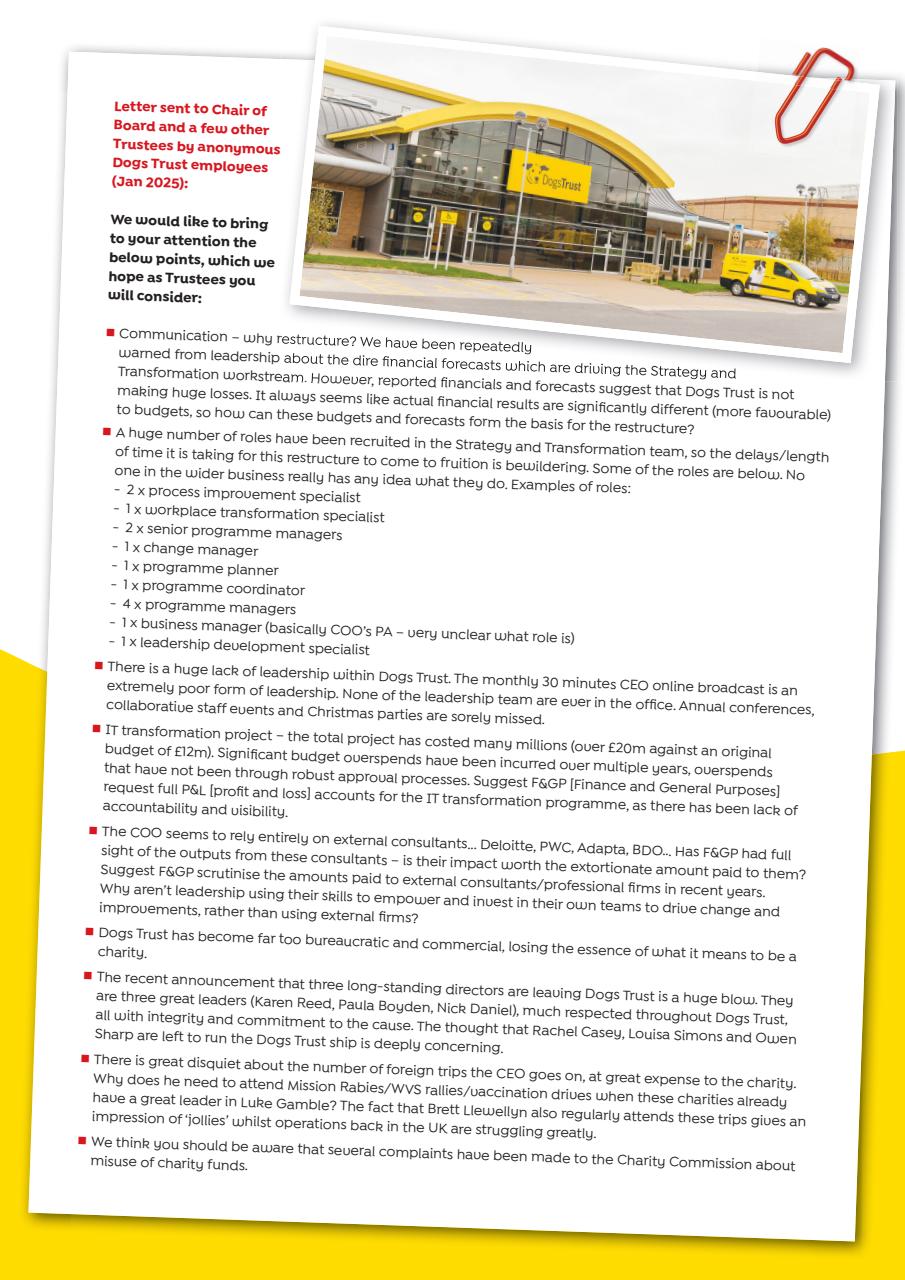 Dogs Today Magazine Preview Pages