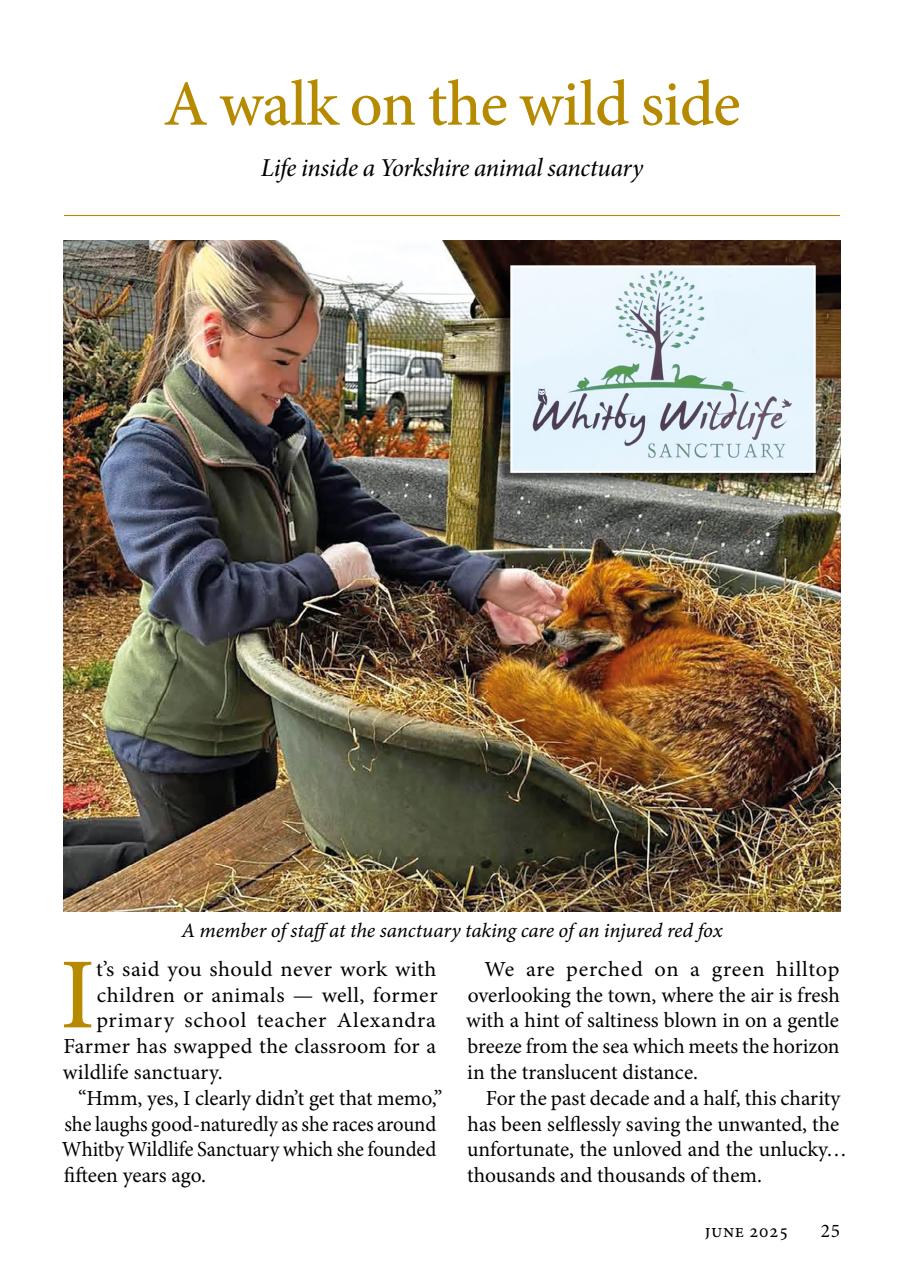 The Yorkshire Dalesman Preview Pages