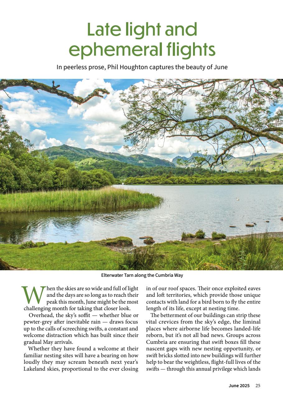 Cumbria and Lakeland Walker Preview Pages