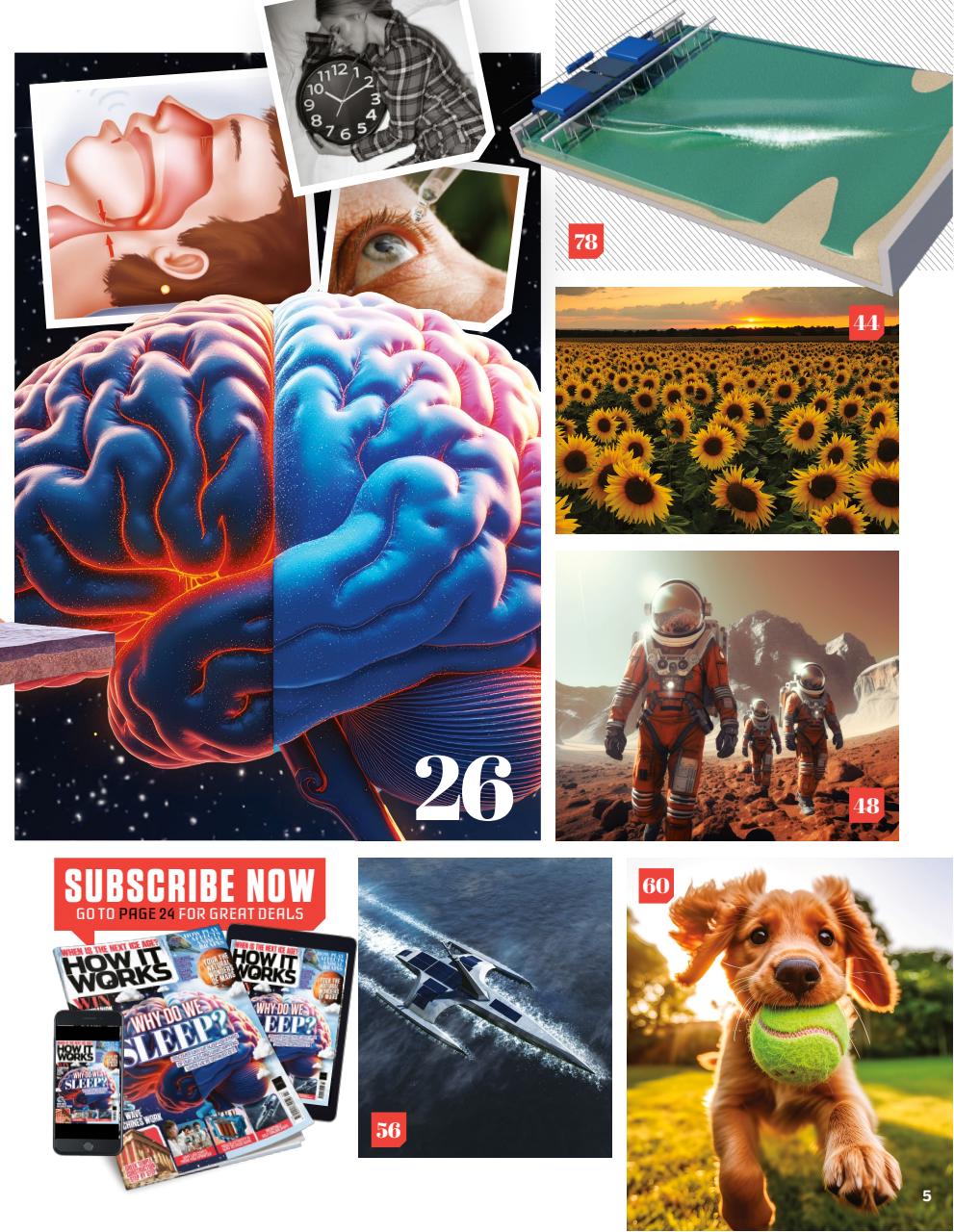 How It Works Preview Pages