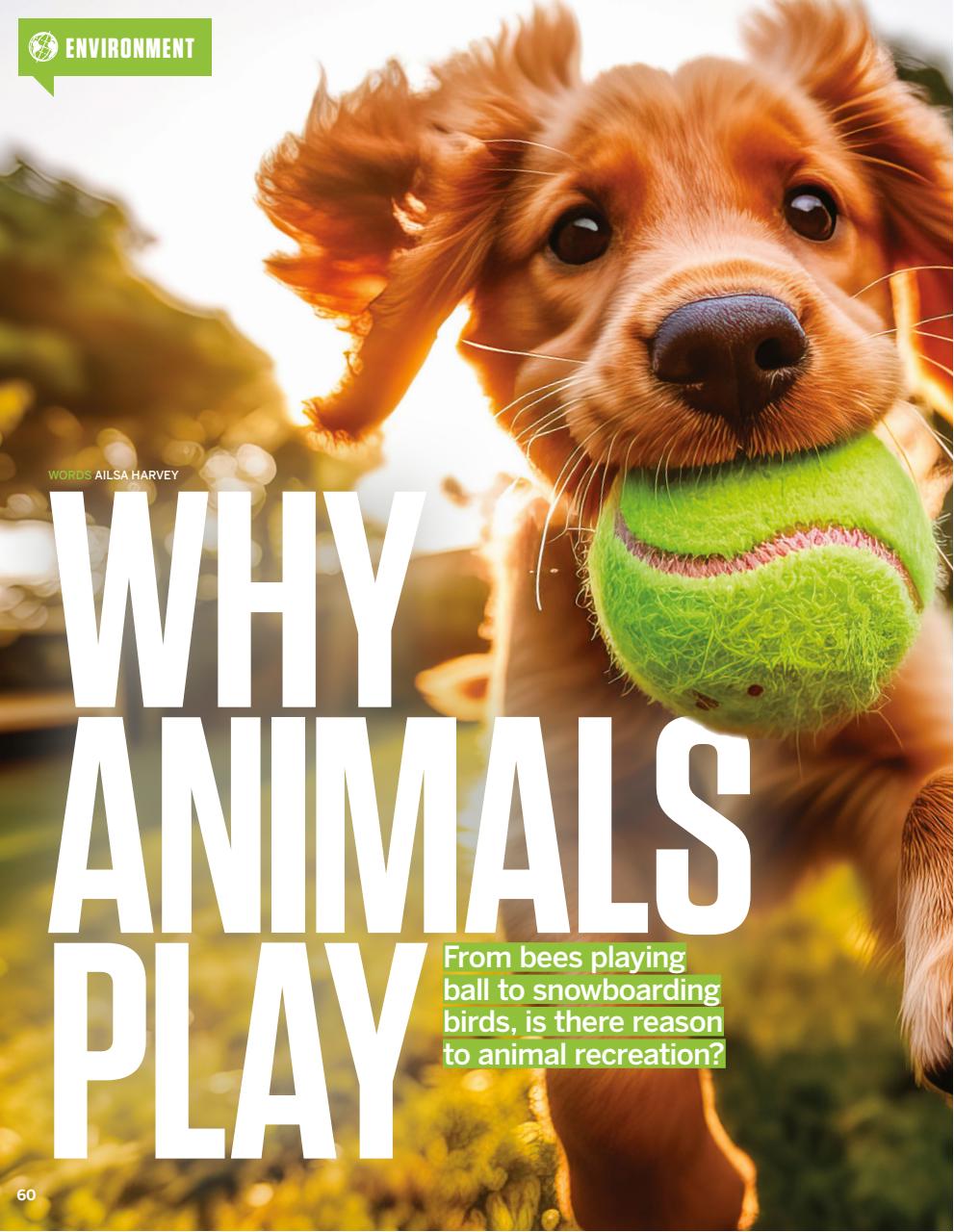 How It Works Preview Pages