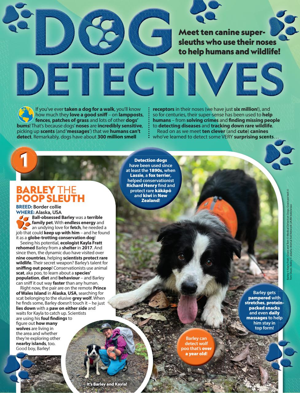 National Geographic Kids Preview Pages