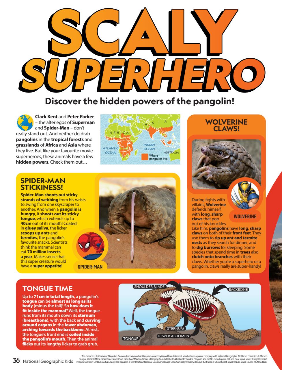 National Geographic Kids Preview Pages