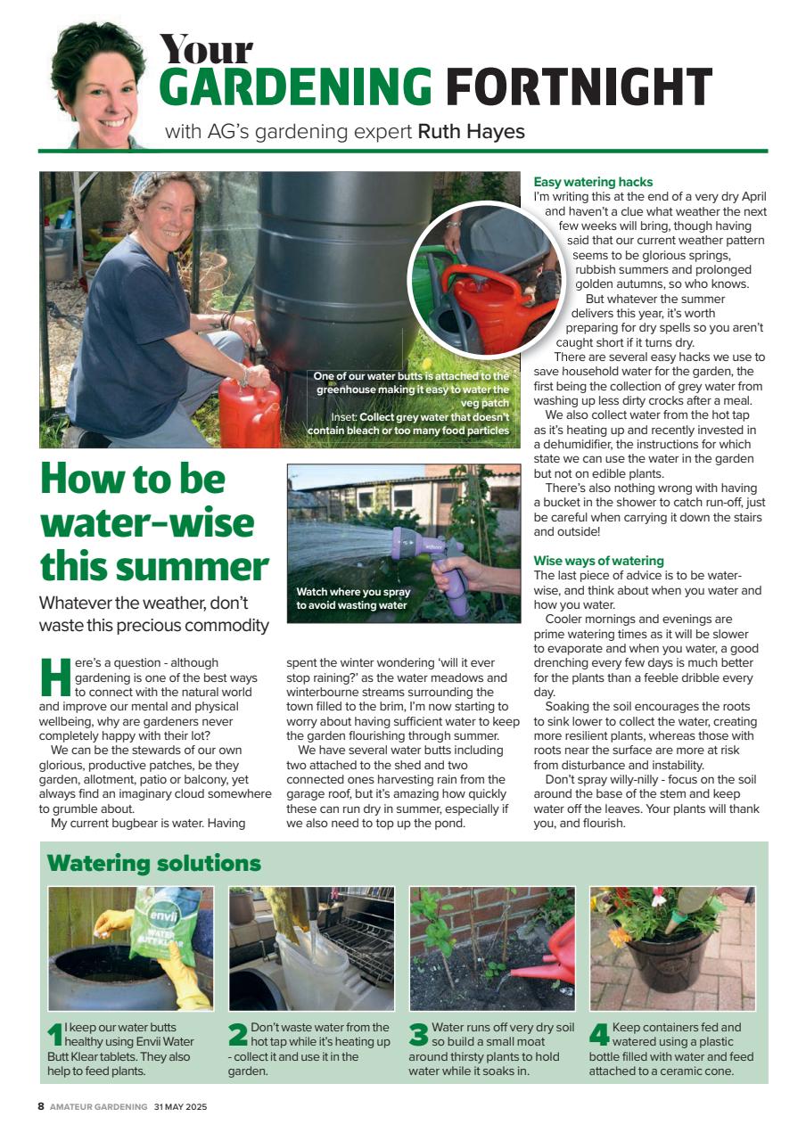 Amateur Gardening Preview Pages