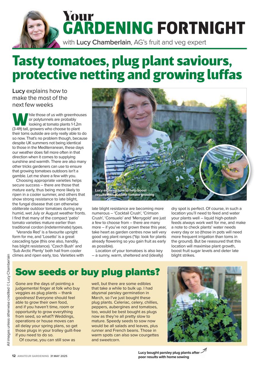 Amateur Gardening Preview Pages