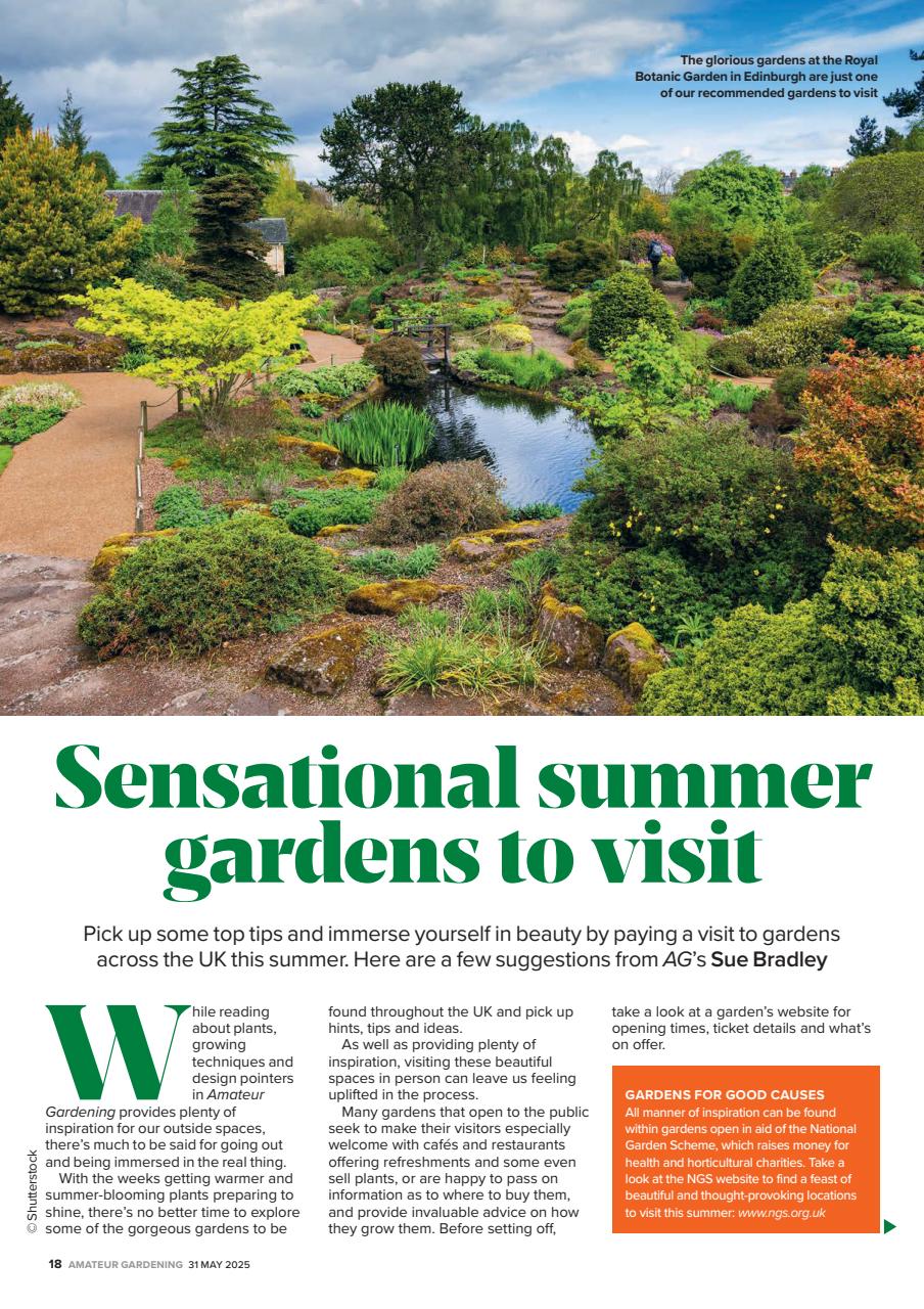 Amateur Gardening Preview Pages