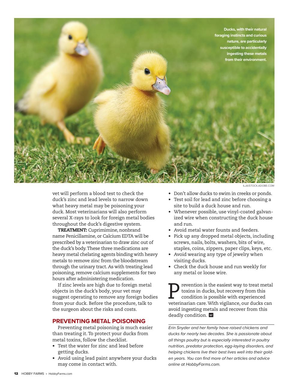 Hobby Farms Magazine Preview Pages