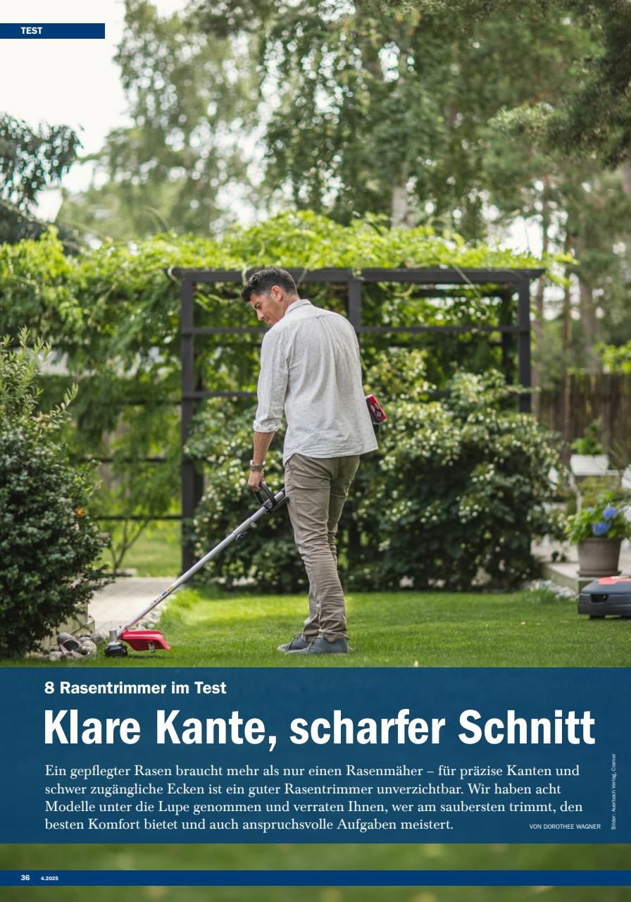 Testjournal Preview Pages