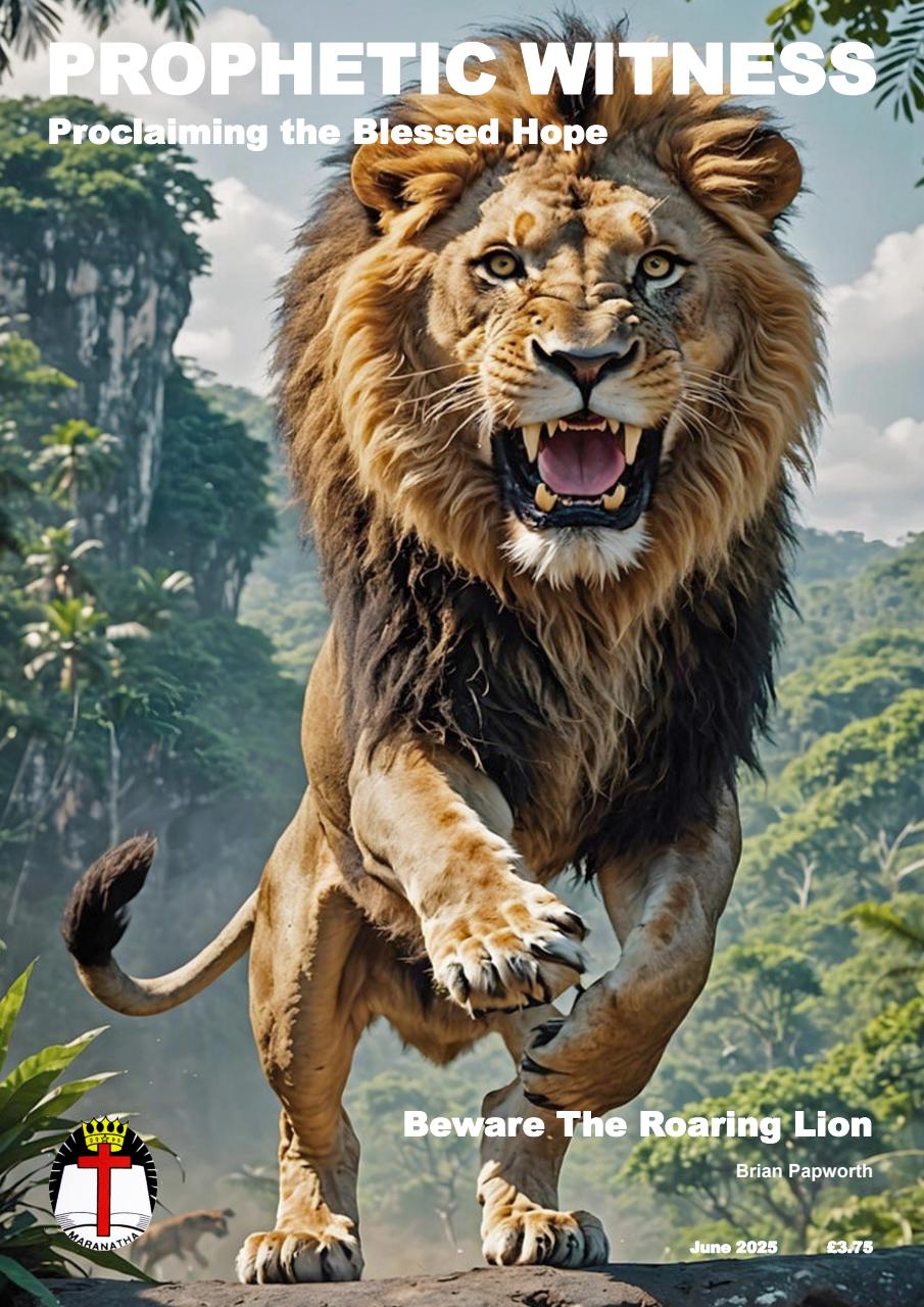 Prophetic Witness Preview Pages