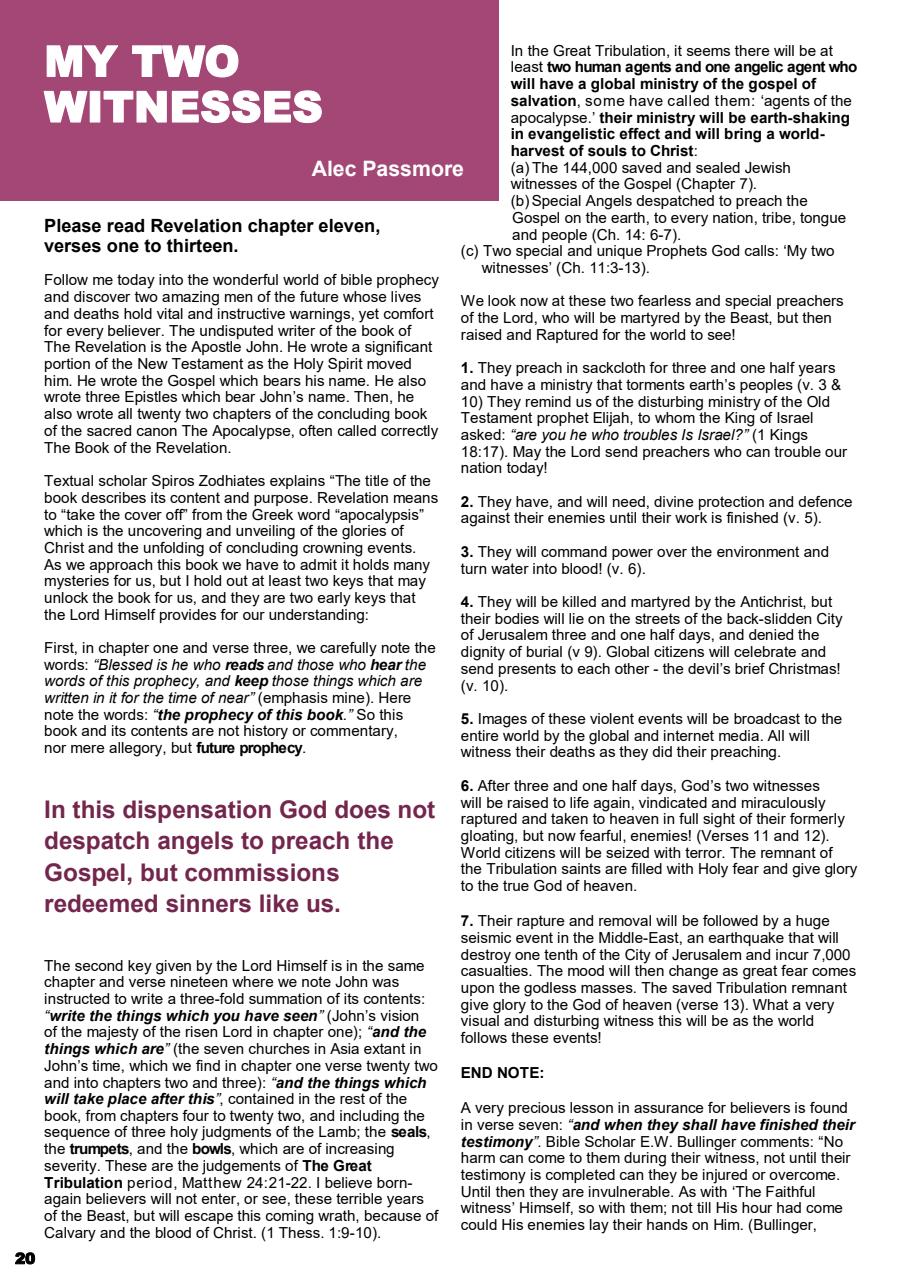 Prophetic Witness Preview Pages