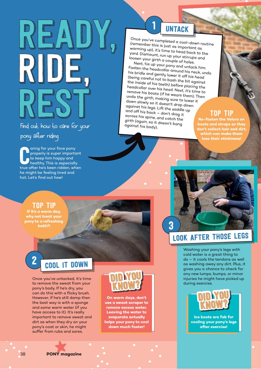 Pony Magazine Preview Pages