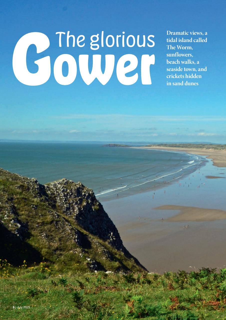 Caravan Magazine Preview Pages