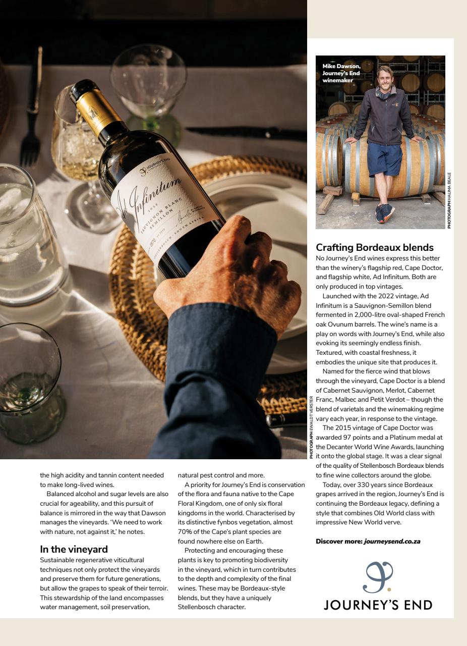 Decanter Preview Pages