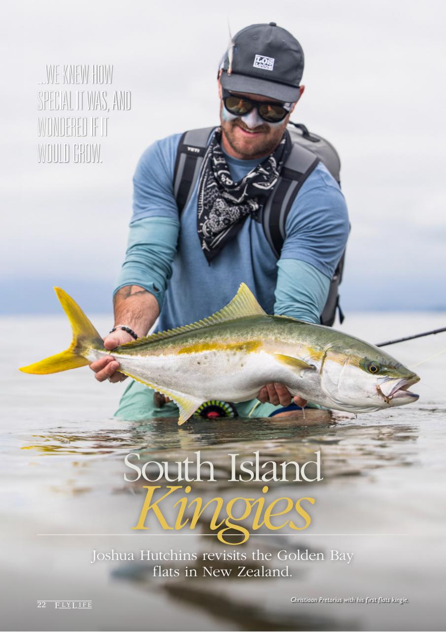 FlyLife Preview Pages