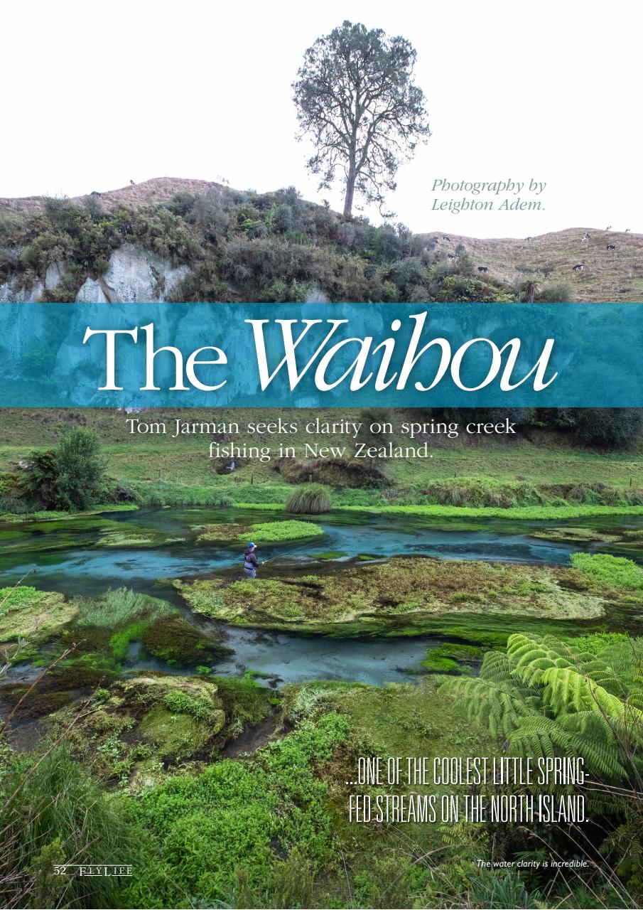 FlyLife Preview Pages