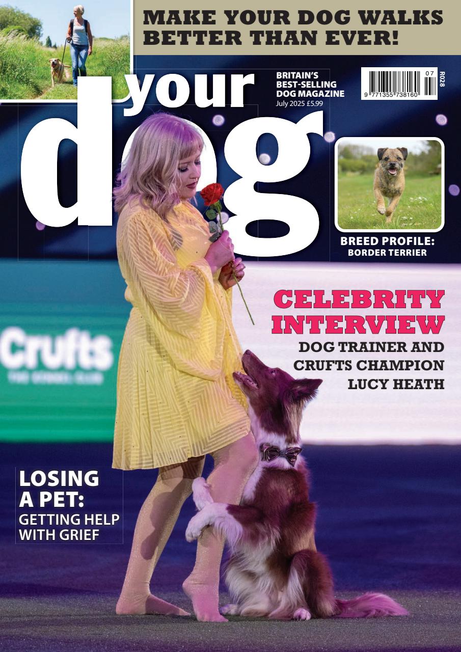 Your Dog Preview Pages