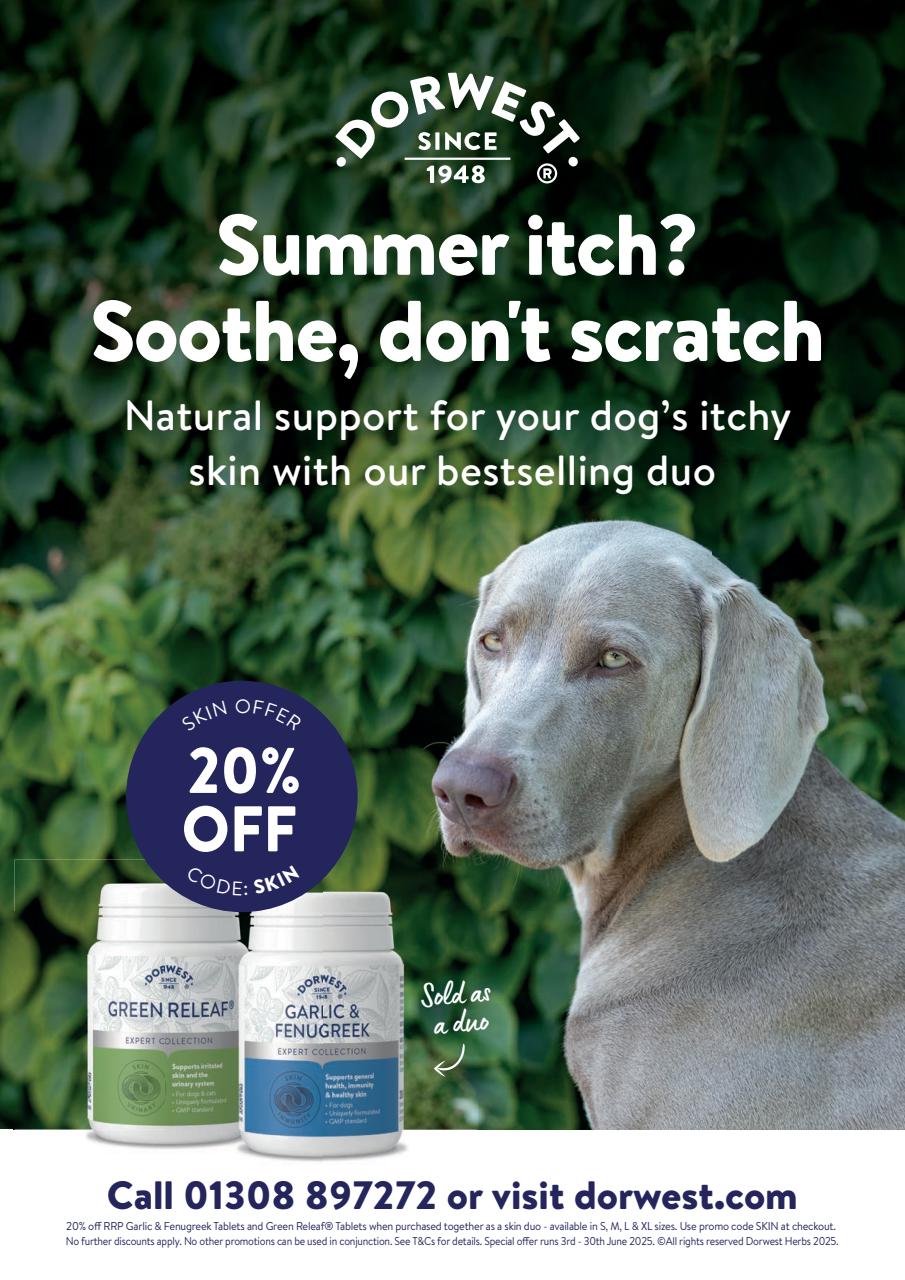 Your Dog Preview Pages