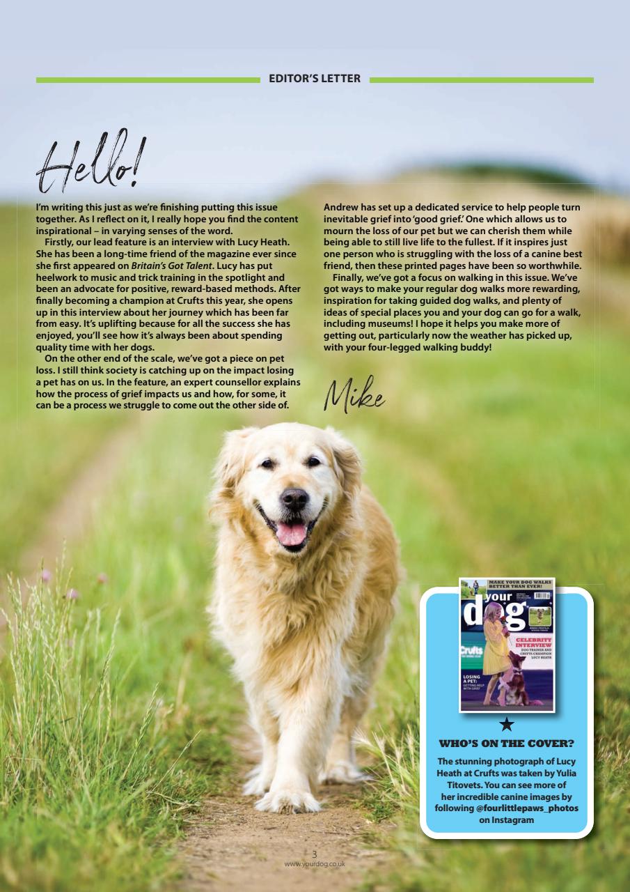 Your Dog Preview Pages