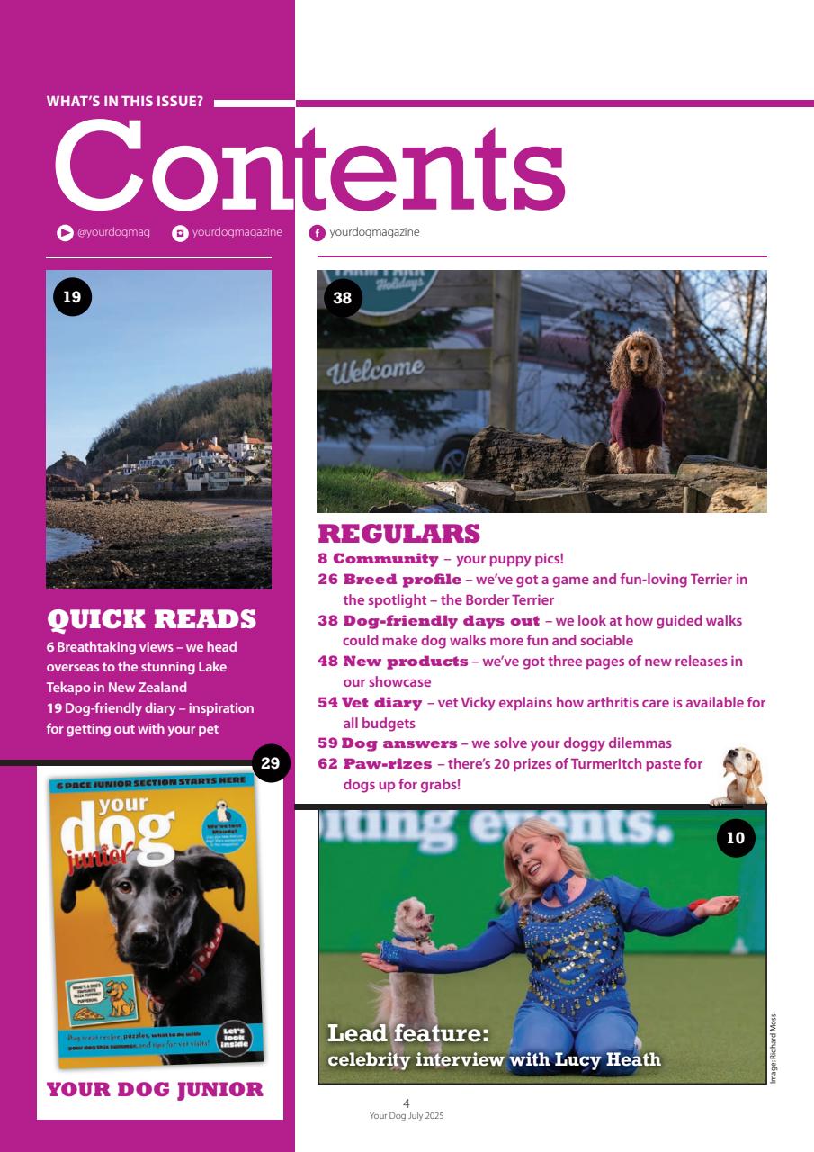 Your Dog Preview Pages