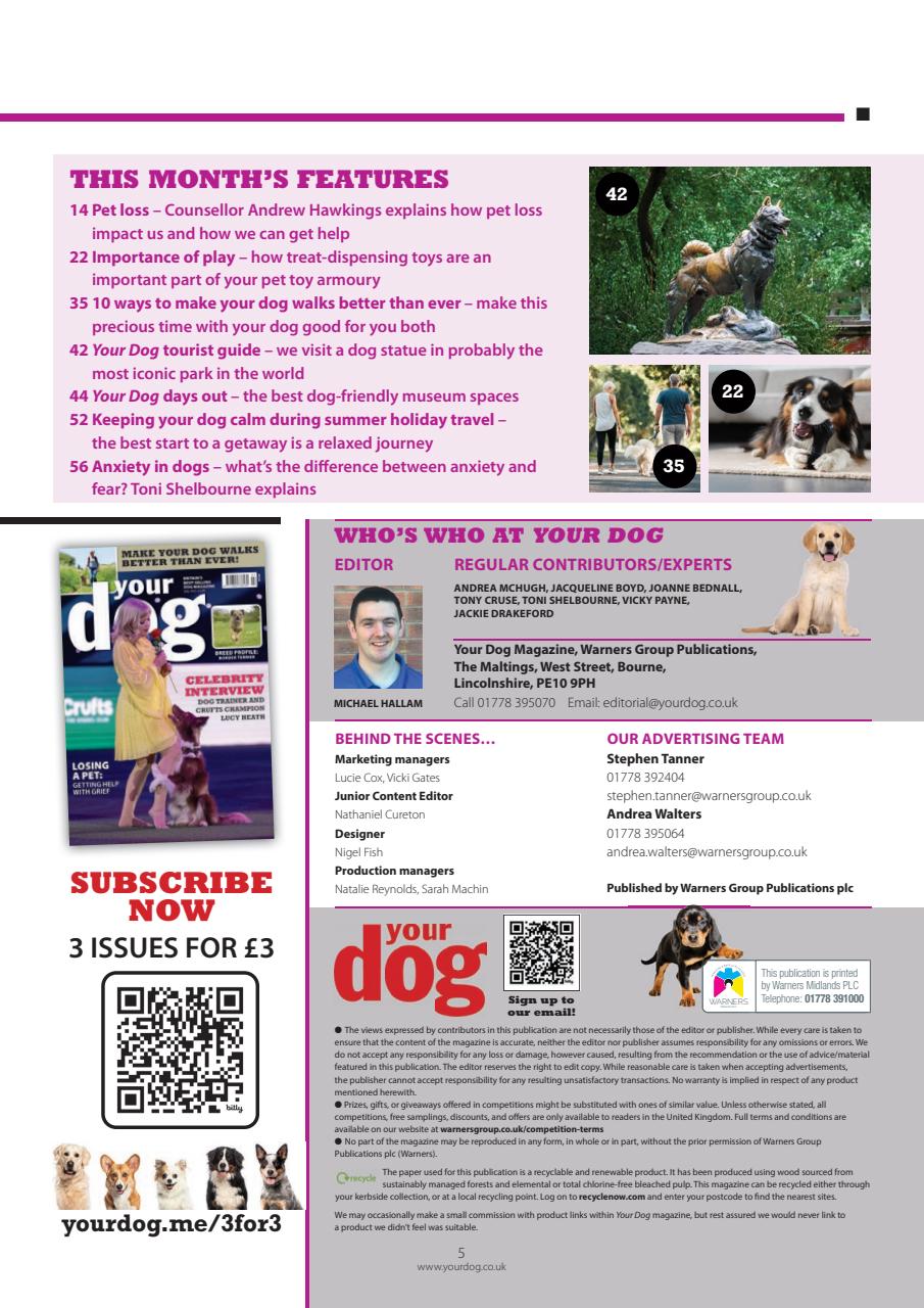 Your Dog Preview Pages