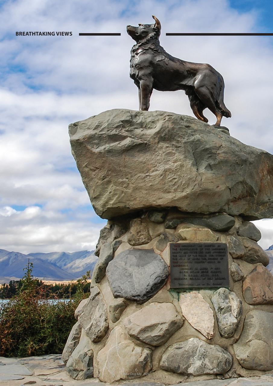 Your Dog Preview Pages